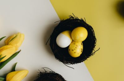 photos by Pexels