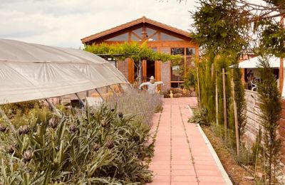 Στην Πιαλέ Πασά με την ωραία ενέργεια
