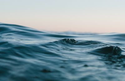 Photo by براء حبوش on Unsplash