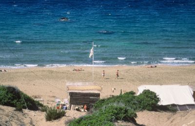 Στην Πιαλέ Πασά με την ωραία ενέργεια