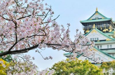photo by Pexels