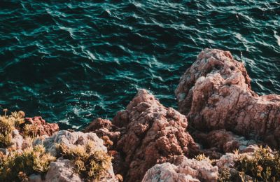 Photo by براء حبوش on Unsplash