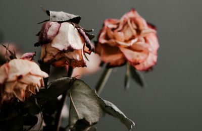 Photo by براء حبوش on Unsplash