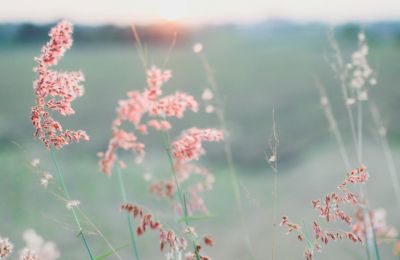 Photo by براء حبوش on Unsplash